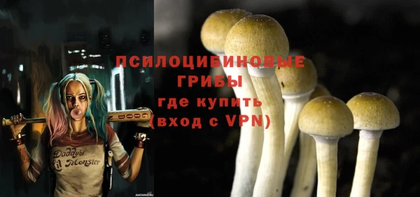 герыч Бугульма