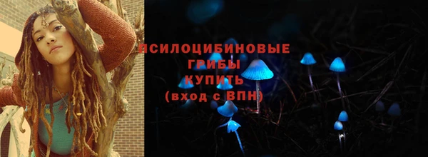 соль курить ск Бородино