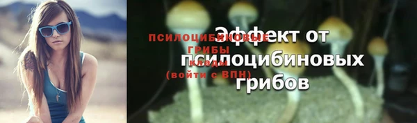 соль курить ск Бородино