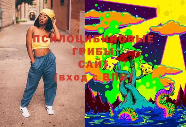 соль курить ск Бородино