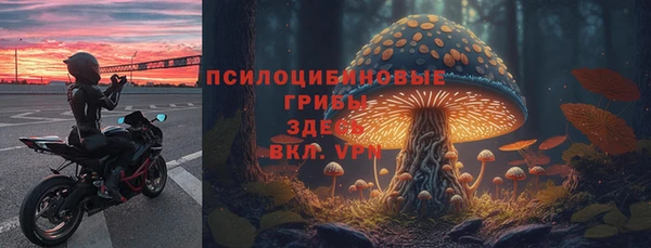 соль курить ск Бородино